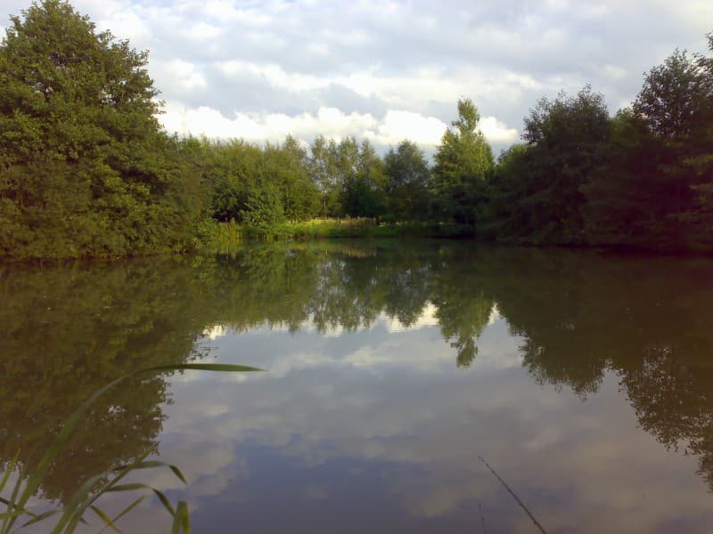 One Acre Pool