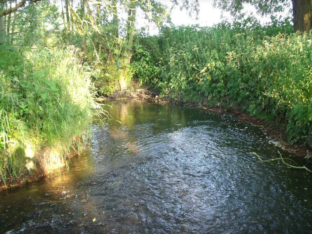 River Tean