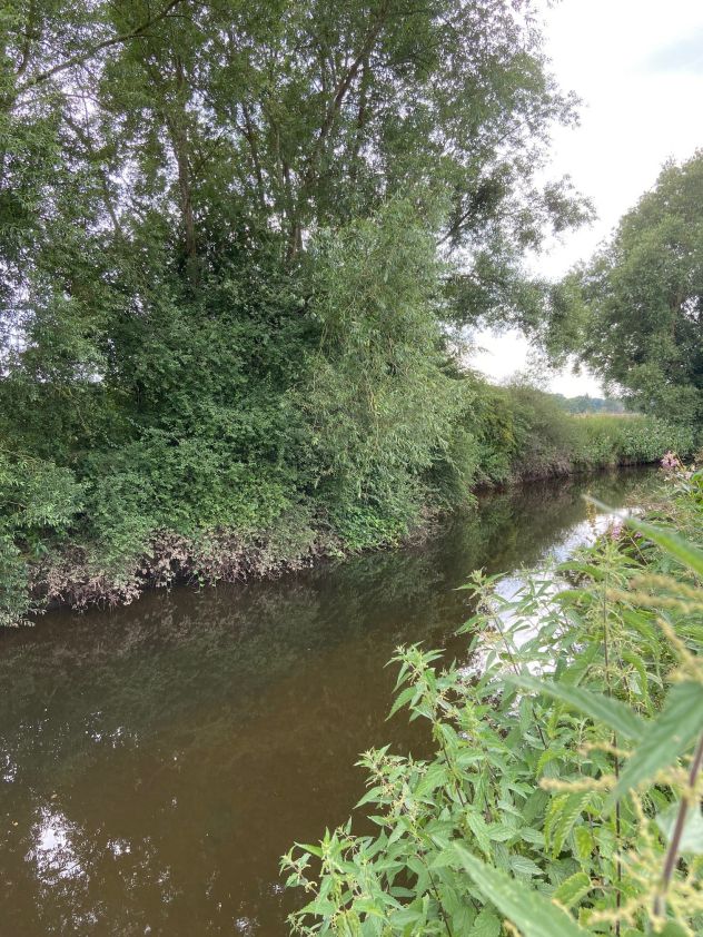 River Trent Saracens Head Angling Group 